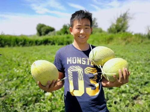 吃瓜达人卡罗,揭秘吃瓜达人的瓜界传奇