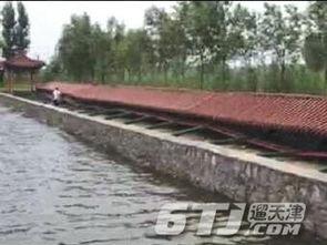 安新长廊吃瓜事件,一场网络热议背后的真相与反思