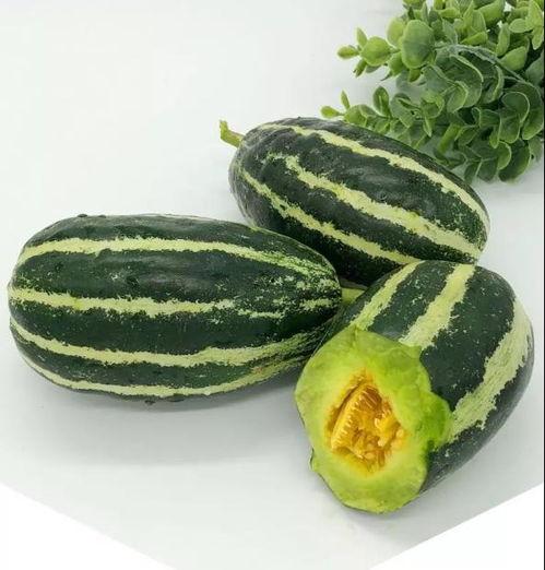 暖似阳吃瓜,品味生活，共享瓜果时光