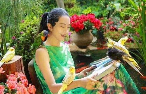 吃瓜仙境,揭秘娱乐圈背后的甜蜜与苦涩