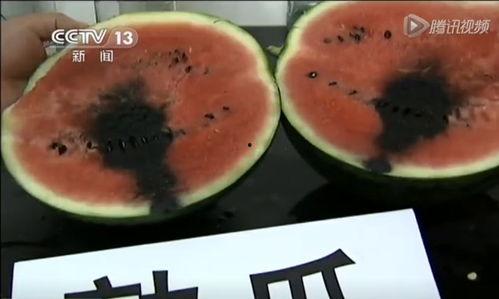 自己踩的才放心 吃瓜,揭秘“吃瓜群众”的放心之道