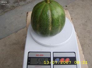 开车吃绿瓜,绿瓜诱惑下的美食冒险之旅