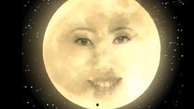 默默吃瓜的人,品味人生百态