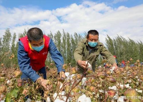 博州最新吃瓜新闻,最新吃瓜新闻揭秘！