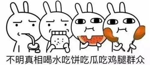 什么是带你吃瓜,带你吃瓜，一探究竟