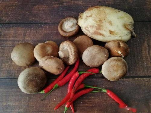 忧郁菇吃瓜,忧郁菇的瓜界奇遇记