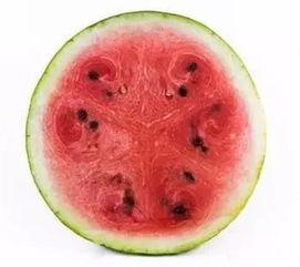 怎样科学吃瓜,揭秘科学吃瓜的五大秘诀