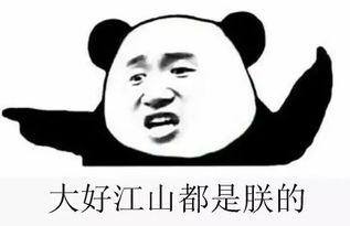 吃瓜群众的群规,畅享八卦乐趣，共守网络文明边界