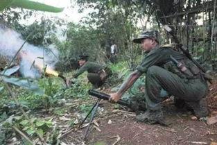 吃瓜缅甸战火搞笑,一场搞笑的“瓜田”奇遇记