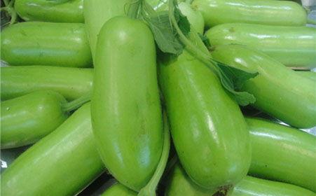 蒲瓜吃会败血,揭秘传统食材的神奇与禁忌