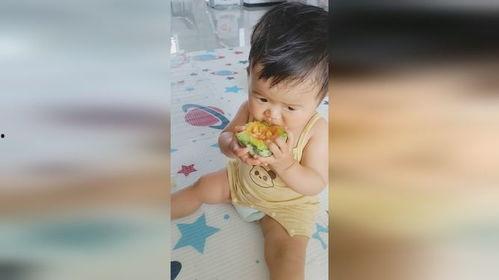 周岁宝宝吃瓜写真