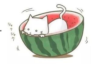 遇到吃不懂的瓜,探索那些让人好奇的“神秘瓜果”