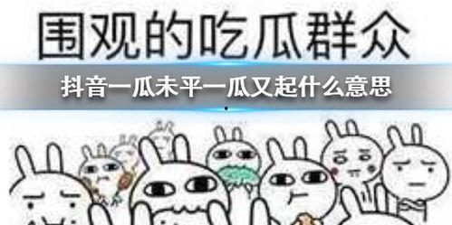 抖音吃瓜模板,抖音吃瓜模板带你一探究竟！