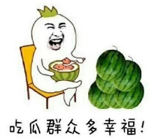 吃瓜看娱圈