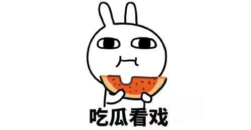 吃瓜总群的密码