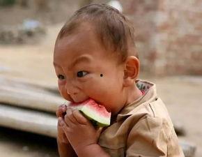 吃瓜认真程度,吃瓜群众的认真程度大剖析