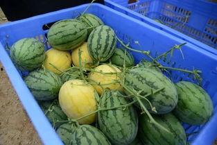 最新QQ吃瓜群,最新热门话题一网打尽