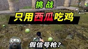 吃瓜玩吃鸡,趣味横生的娱乐盛宴