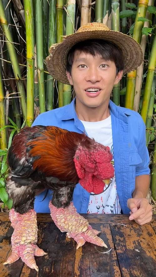 挑战一天只吃瓜